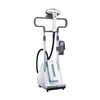 2250W Garment Steamer