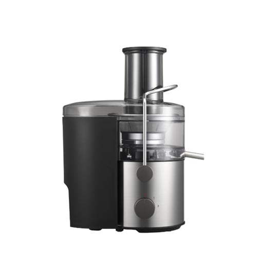 1000W Large Capacity Juicer 2L