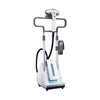 2250W Garment Steamer