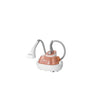 1785W Garment Steamer