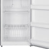 21CF Upright Freezer